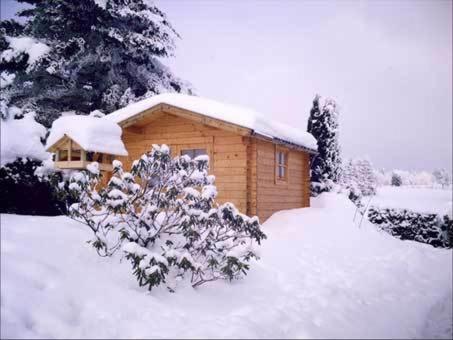 Apartment Jungst Winterberg Zewnętrze zdjęcie
