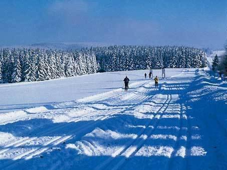 Apartment Jungst Winterberg Zewnętrze zdjęcie