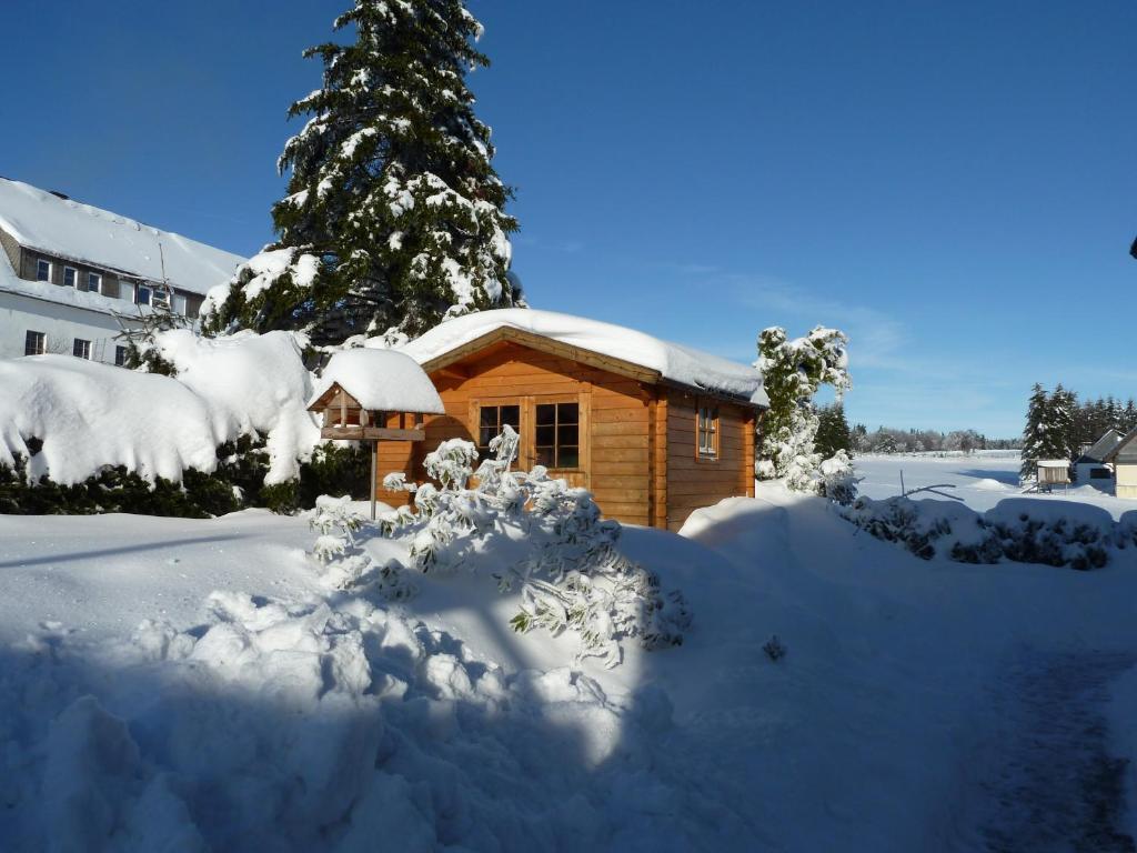 Apartment Jungst Winterberg Zewnętrze zdjęcie