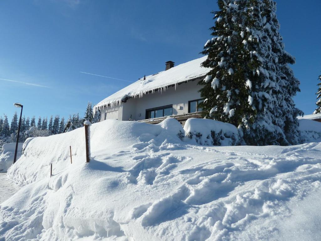 Apartment Jungst Winterberg Zewnętrze zdjęcie
